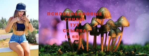 таблы Елизово
