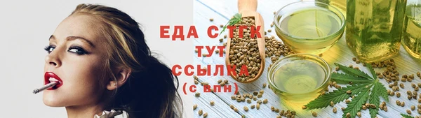 гашик Ельня