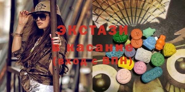 гашик Ельня