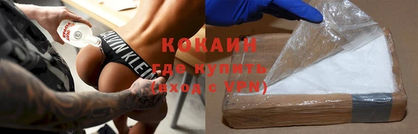PSILOCYBIN Заводоуковск