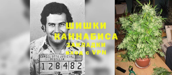 гашик Ельня