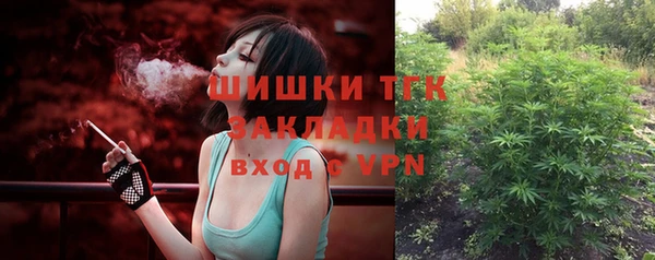 гашик Ельня