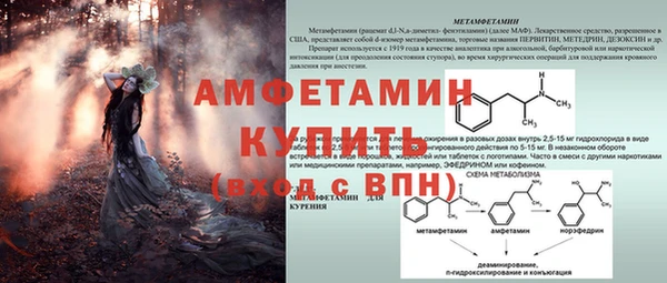 дживик Гусев