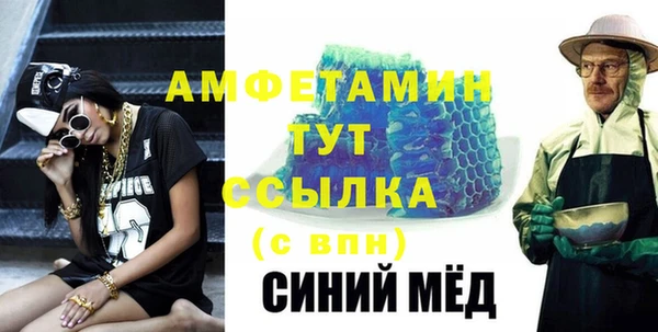 гашик Ельня