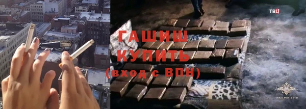 гашик Ельня