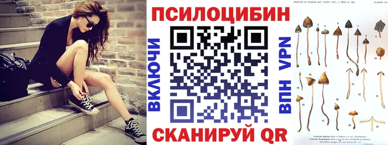 купить закладку  Элиста  Галлюциногенные грибы MAGIC MUSHROOMS 